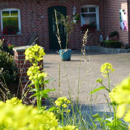 Fewo Emsland Emsbüren المظهر الخارجي الصورة