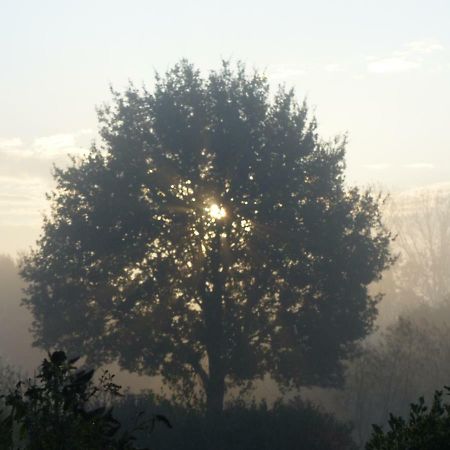 Fewo Emsland Emsbüren المظهر الخارجي الصورة