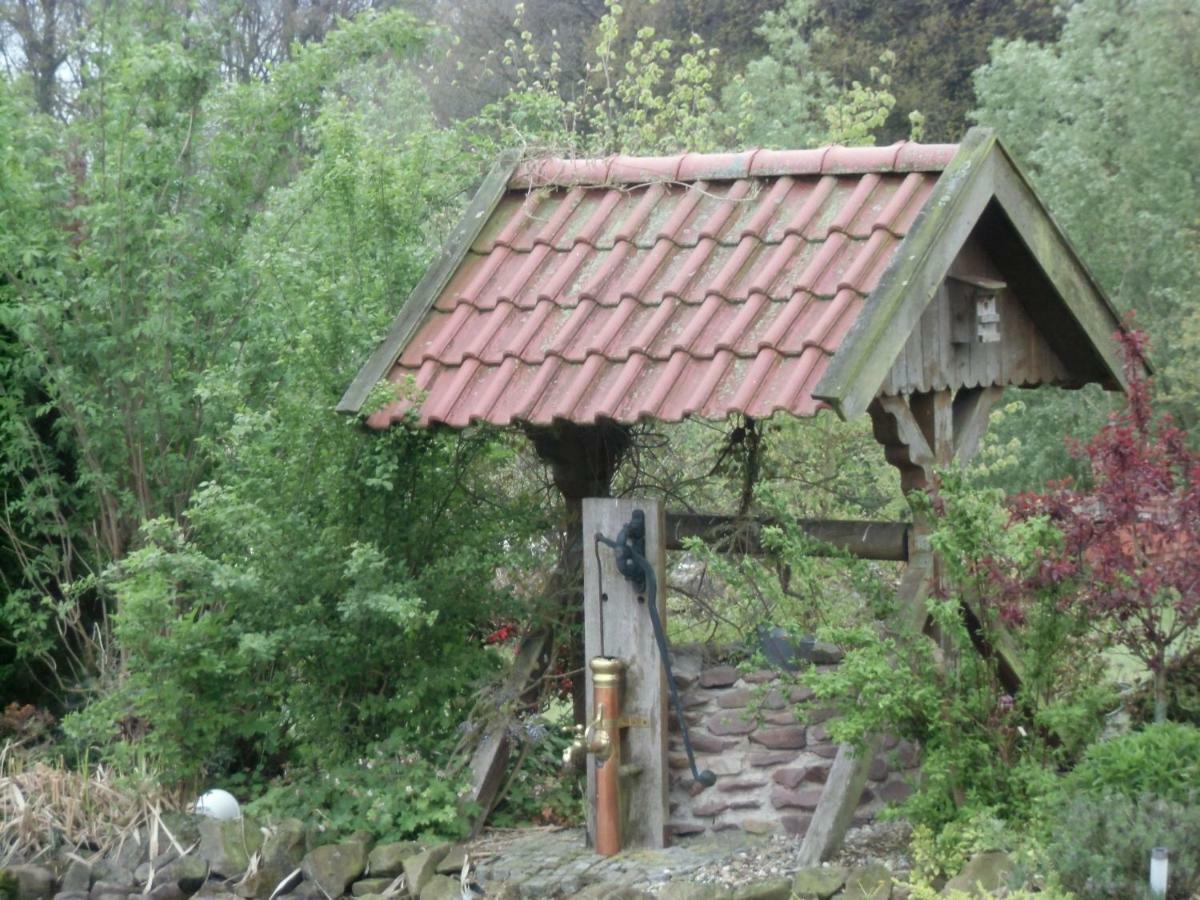 Fewo Emsland Emsbüren المظهر الخارجي الصورة