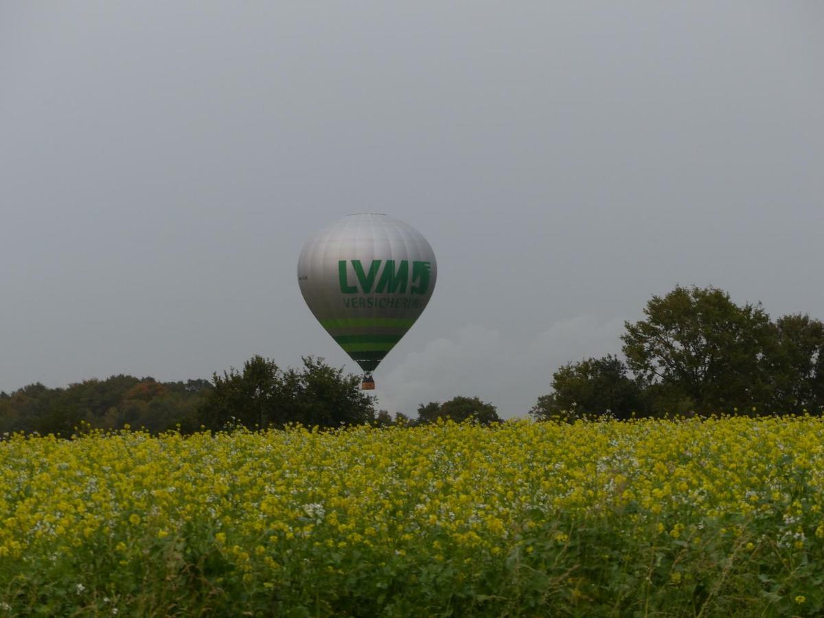 Fewo Emsland Emsbüren المظهر الخارجي الصورة